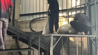 Raw material selection for charcoal briquette production