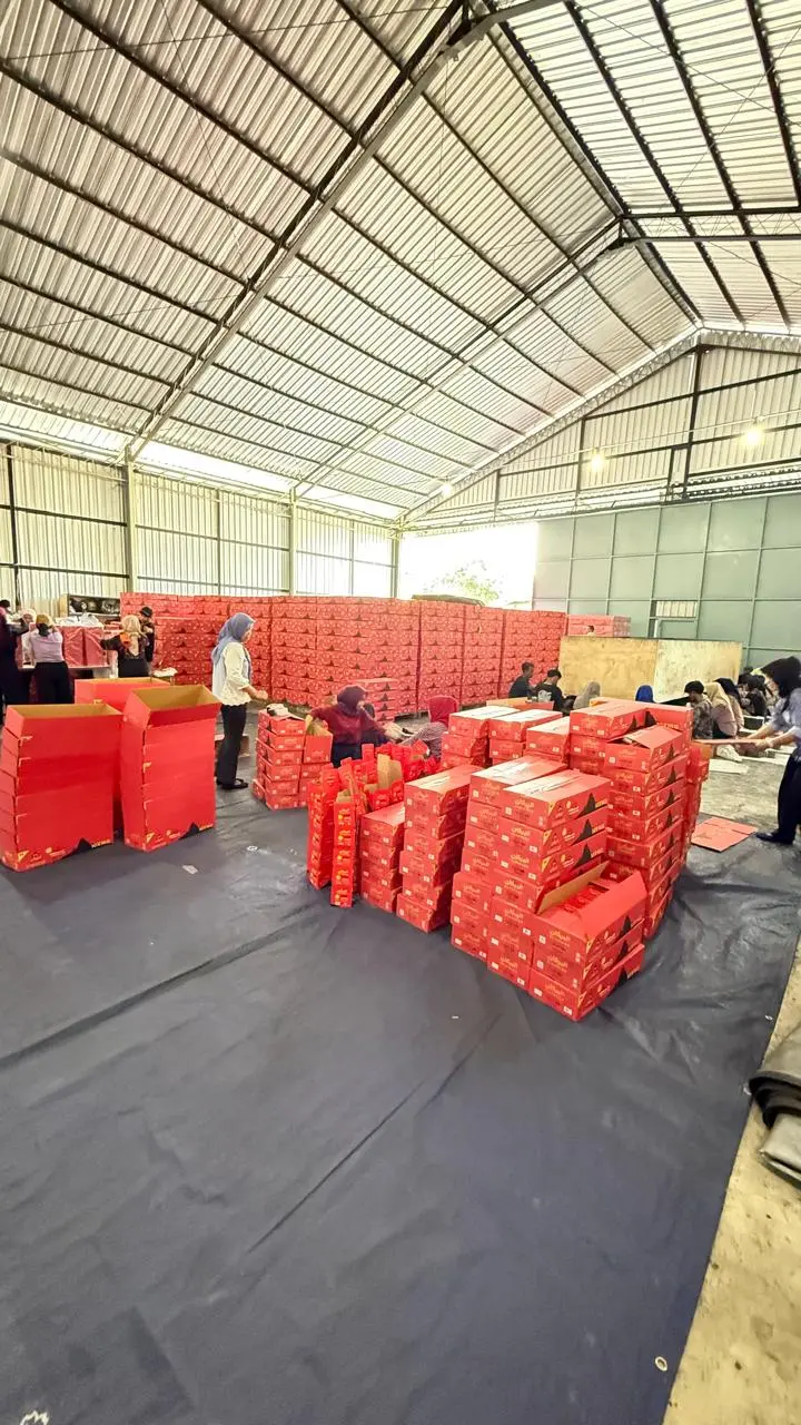 Packaging process for charcoal briquettes