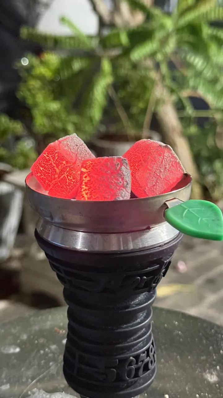 Burning test for charcoal briquettes